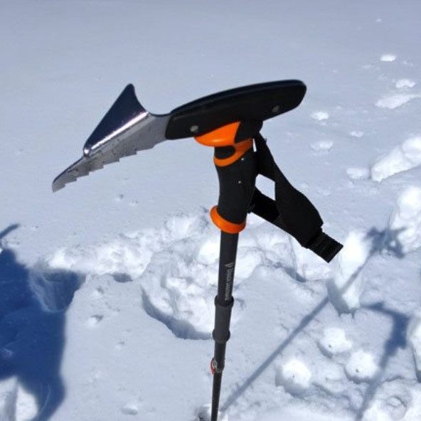 Black Diamond Whippet