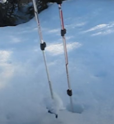 Rozete pentru zapada