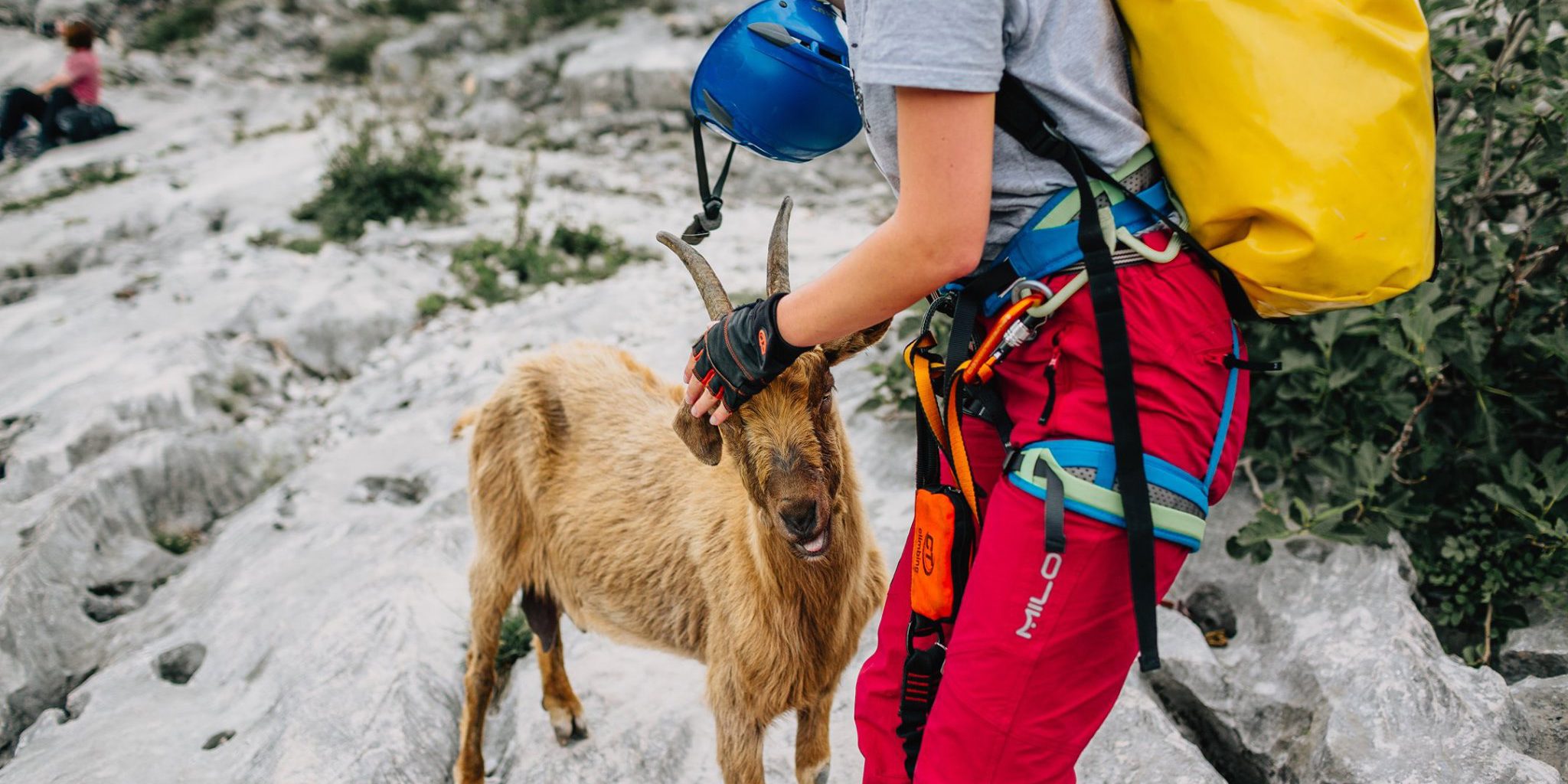 Pantaloni de drumeție Pantaloni de drumeție