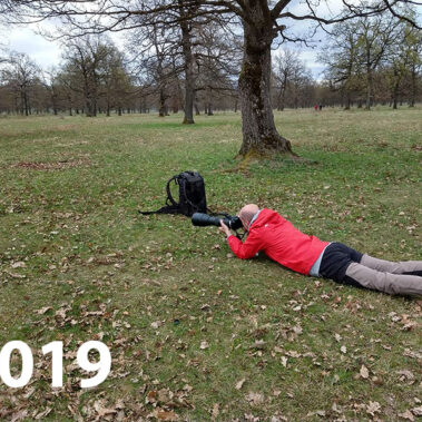 Milo Brenta la Rezervația de lalele pestrițe