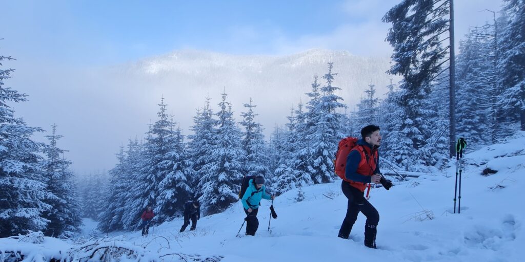 Parazapezile - indispensabile in turele de iarna